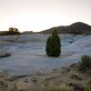 Mojave Preserve 01