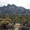 Mojave Preserve 03