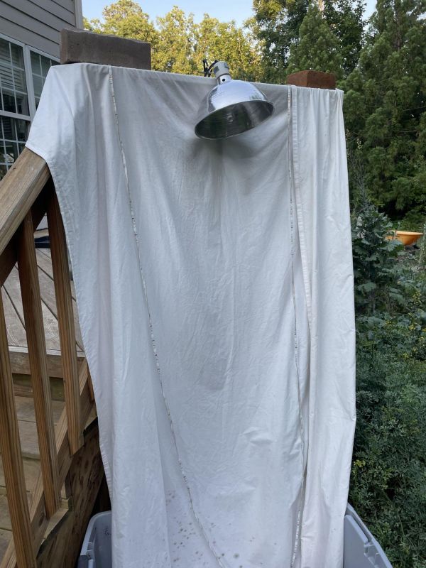 sheet light hung from deck