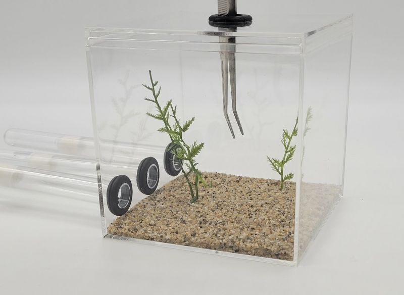 XL TEST TUBE FORMICARIUM - 1