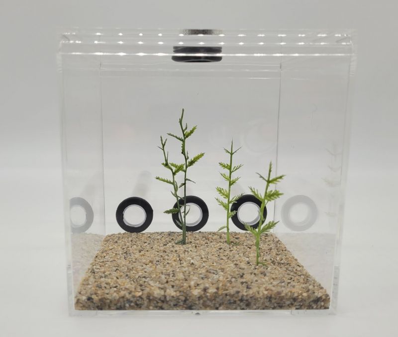 XL TEST TUBE FORMICARIUM - 1