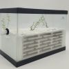 Maze Formicarium