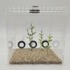 XL TEST TUBE FORMICARIUM - 1