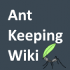 News - Research hints at how fungus farming ants keep their gardens healthy - last post by StopSpazzing