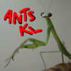 What happened to the genus Gnamptogenys? - last post by ANTS_KL